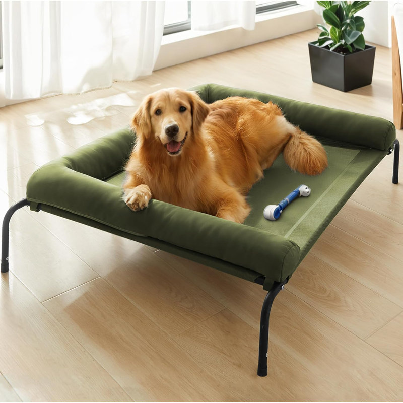 Tucker Murphy Pet Extra Large Elevated Cooling Dog Bed Raised Dog Cots Beds For Extra Large Dogs Outdoor Dog Bed For Dogs Chew Proof Portable Cooling Pet Cot Skid Resistant Feet Frame With